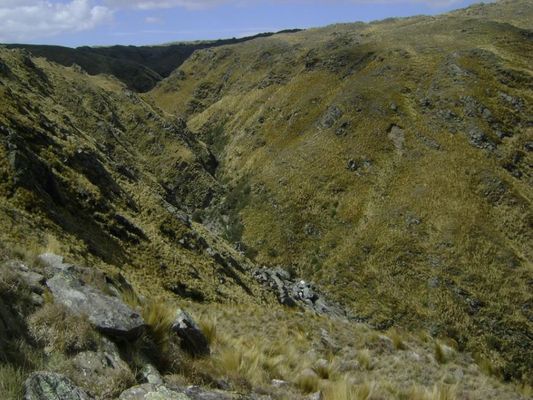 /upload/Campo/65de323cb03018029089750f/9.jpg