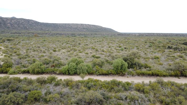 /upload/Campo/66621bd096c0c602947eec4e/11.JPG