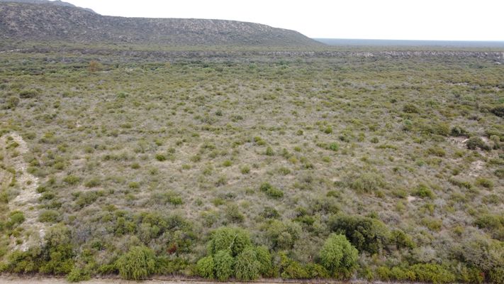 /upload/Campo/66621bd096c0c602947eec4e/12.JPG
