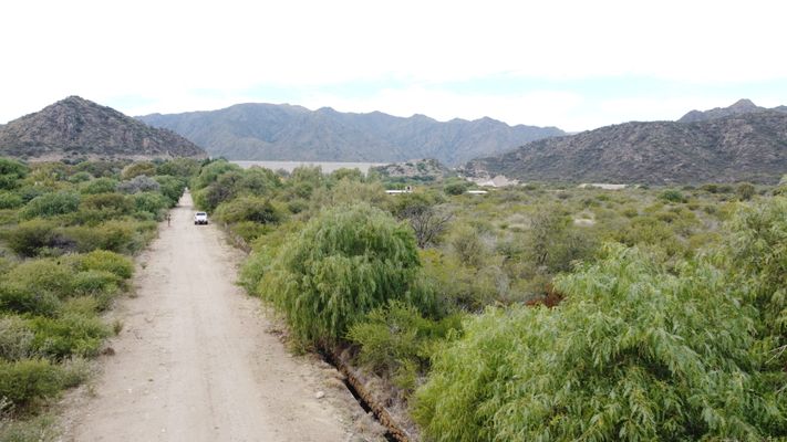 /upload/Campo/66621bd096c0c602947eec4e/13.JPG