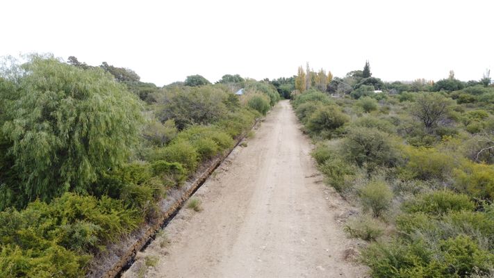 /upload/Campo/66621bd096c0c602947eec4e/14.JPG