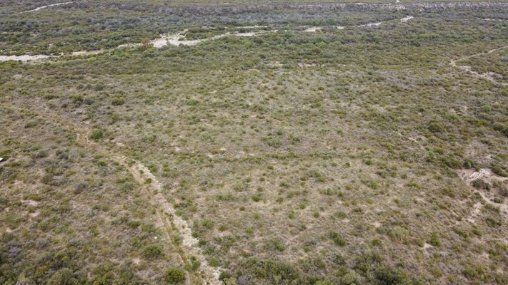 /upload/Campo/66621bd096c0c602947eec4e/8.JPG