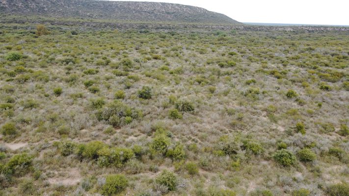 /upload/Campo/66621bd096c0c602947eec4e/9.JPG
