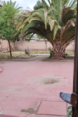 /upload/Casa/68545f4467aec10312e26225/11.jpeg